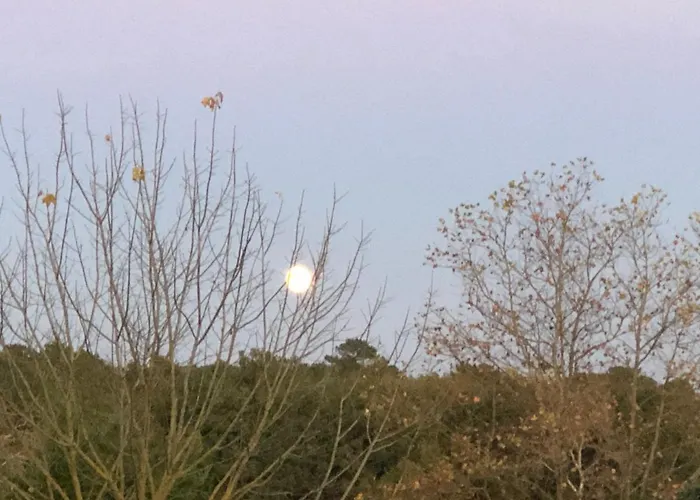 Feriehus Le Grand Pellegrue